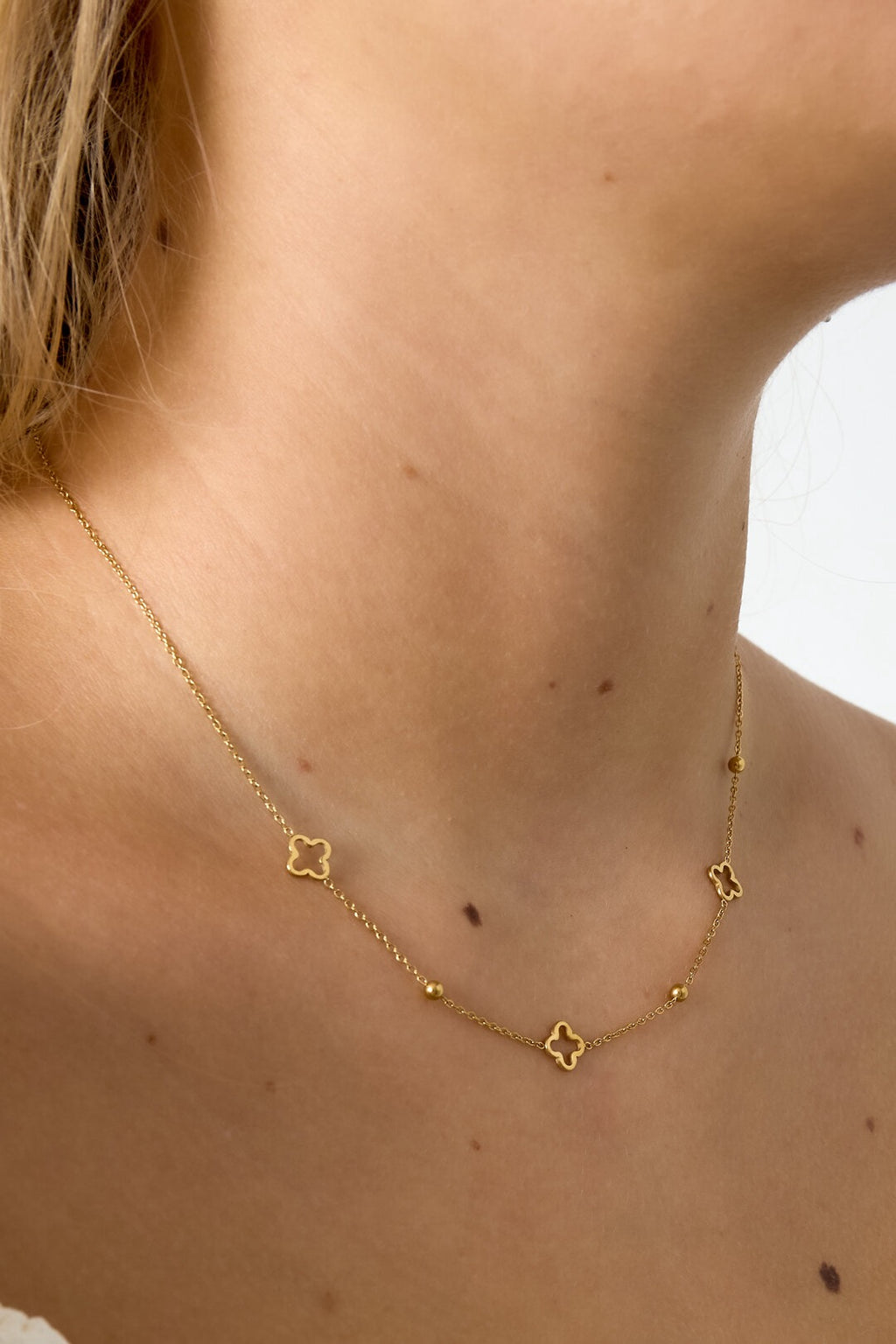 Mivo | Collar