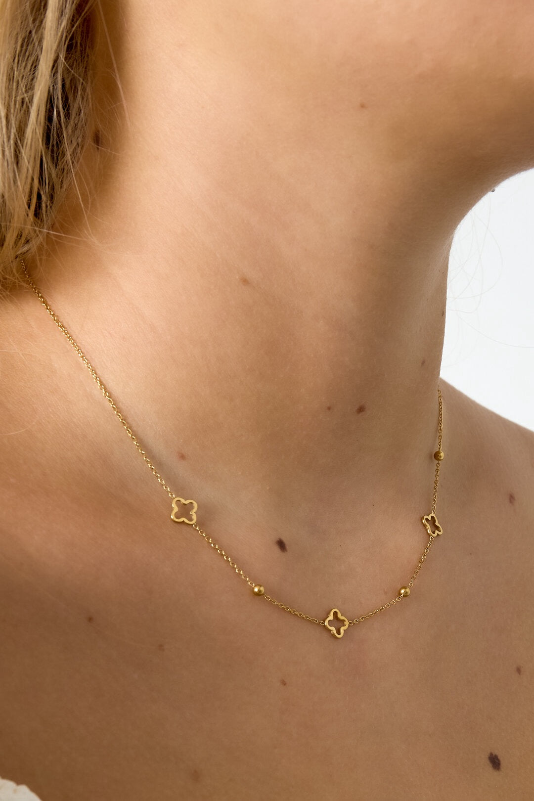 Mivo | Collar