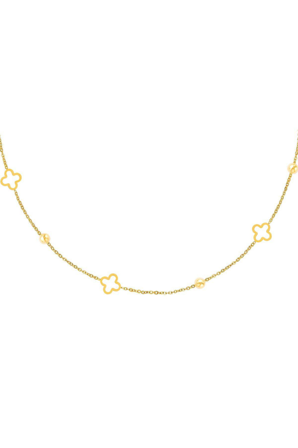Mivo | Collar
