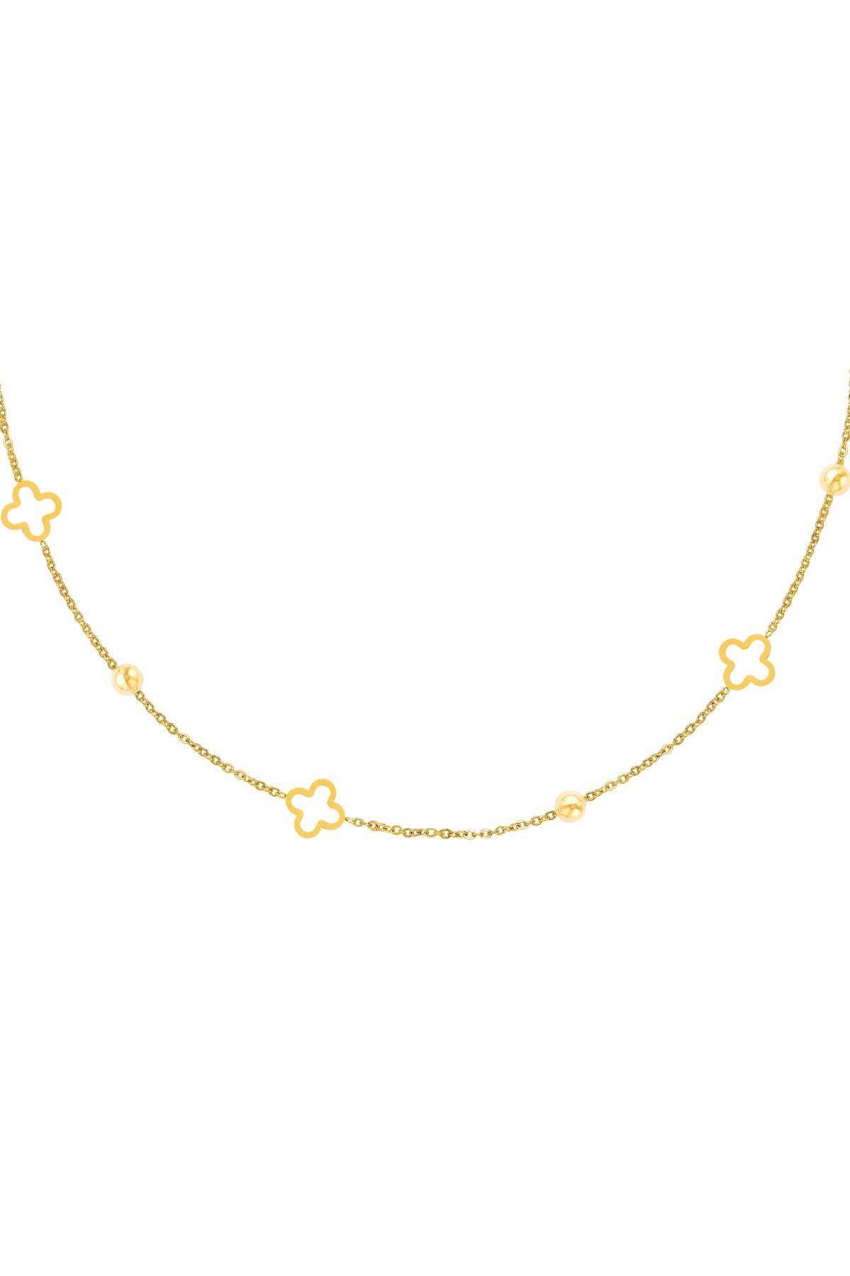Mivo | Collar